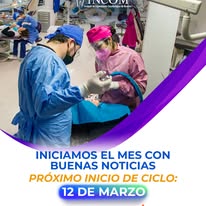 Galeria INCOM 4